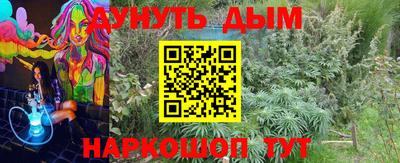 дживик Берёзовский