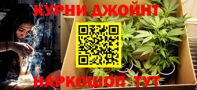 сатива Беслан