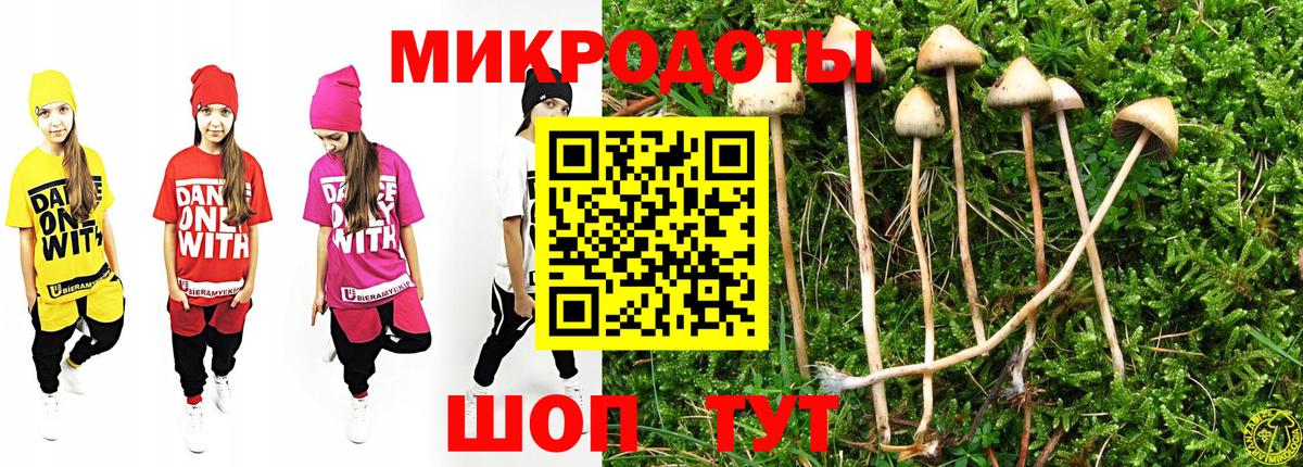 Псилоцибиновые грибы мицелий Изобильный